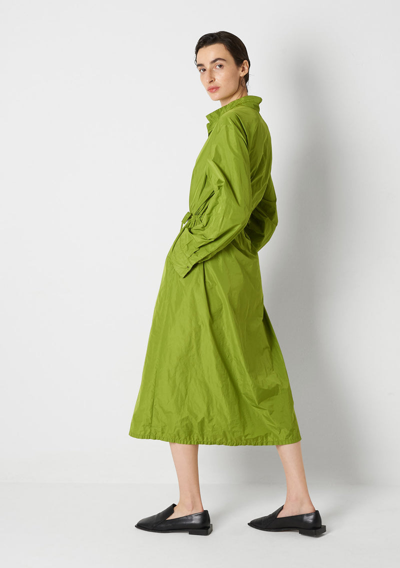 Coat Dress, pistachio